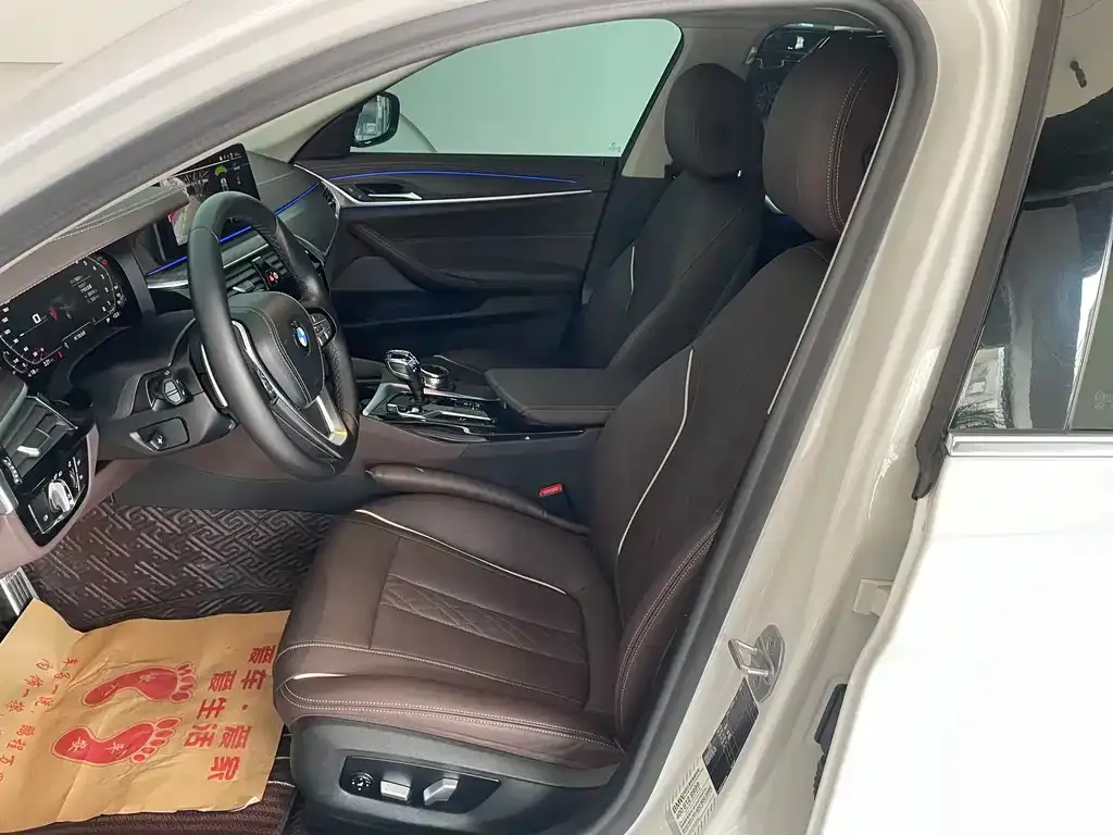 BMW 5 Series 2021 из CN, фото 7