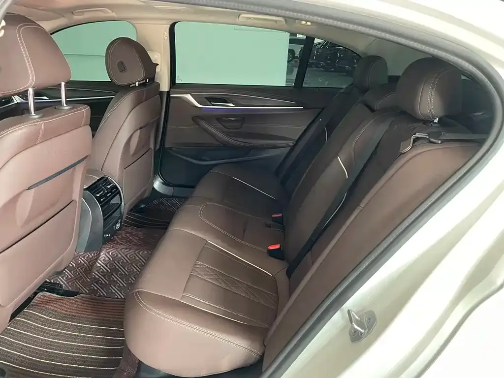BMW 5 Series 2021 из CN, фото 8