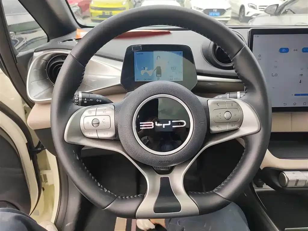 BYD Dolphin 2024 из CN, фото 10