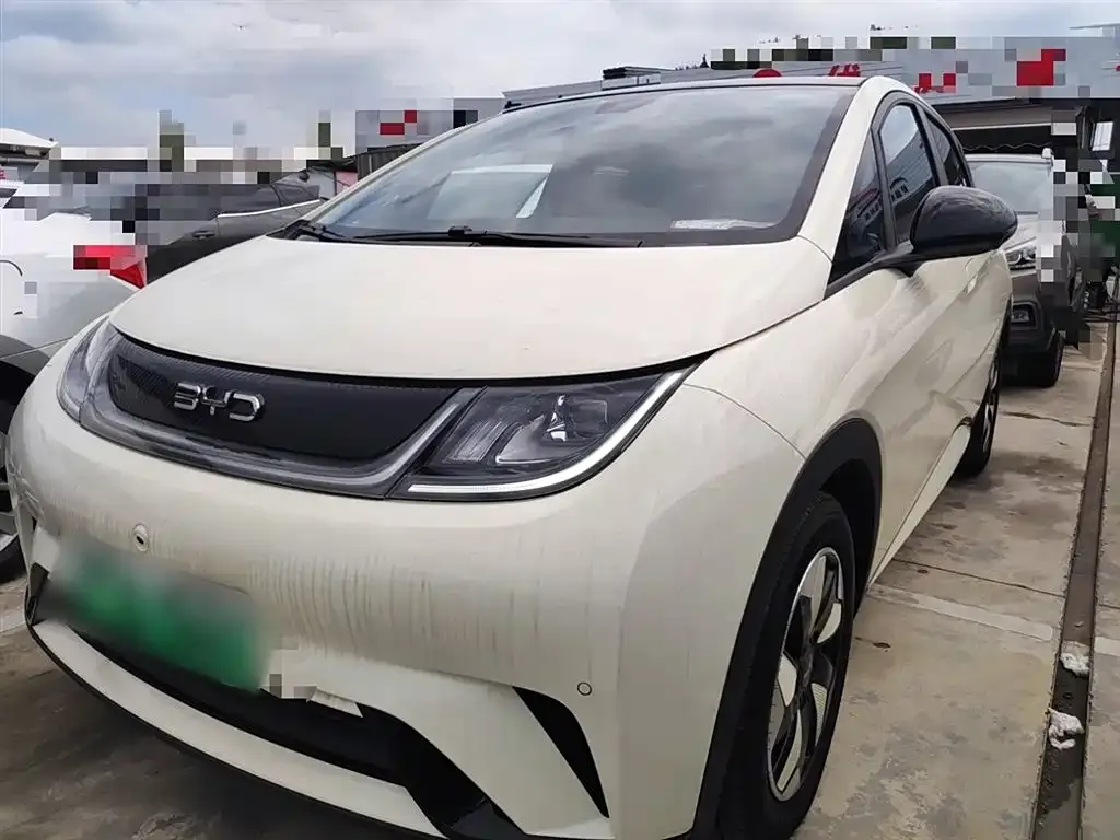 BYD Dolphin 2024 из CN, фото 2