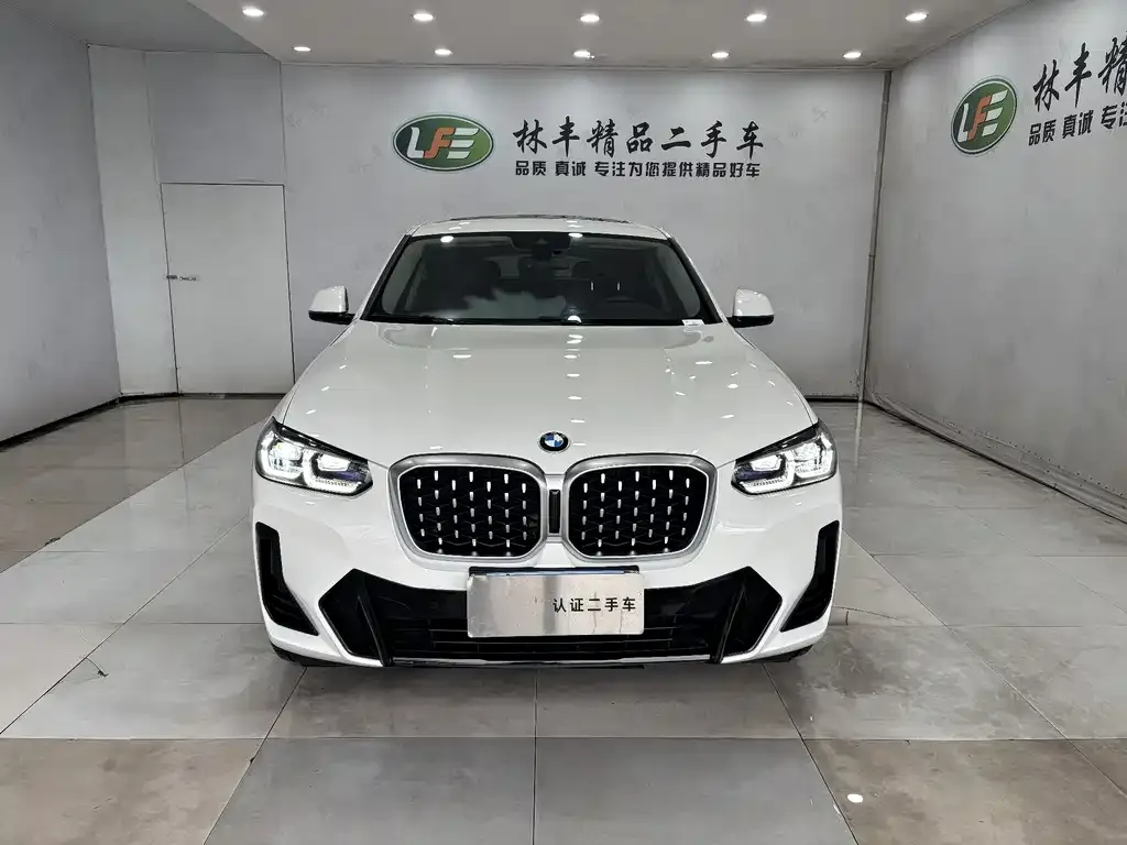 BMW X4 2024 из CN, фото 2