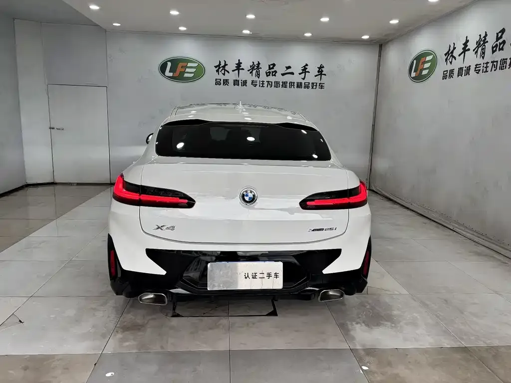 BMW X4 2024 из CN, фото 6