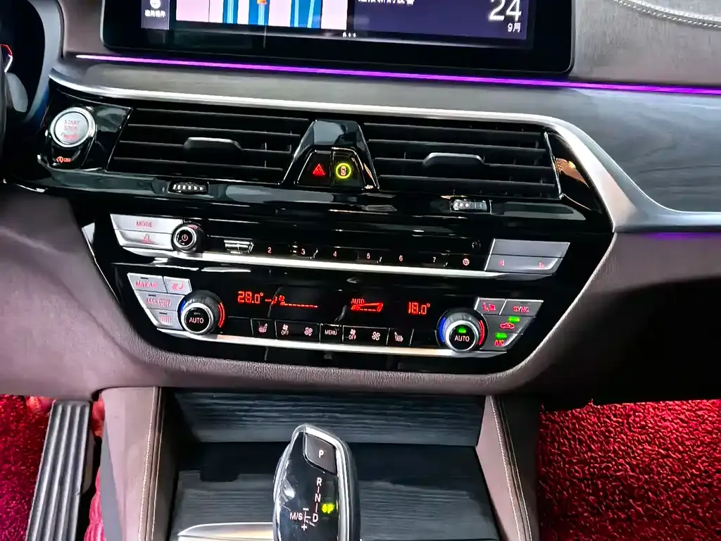 BMW 5 Series 2021 из CN, фото 6
