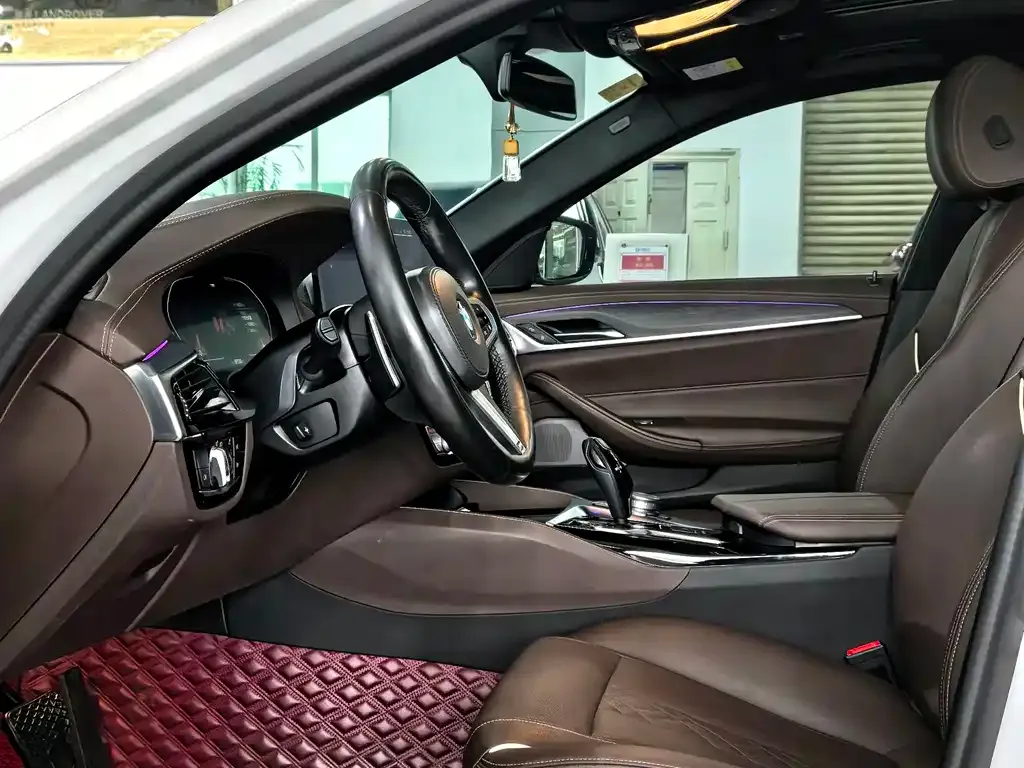 BMW 5 Series 2021 из CN, фото 8