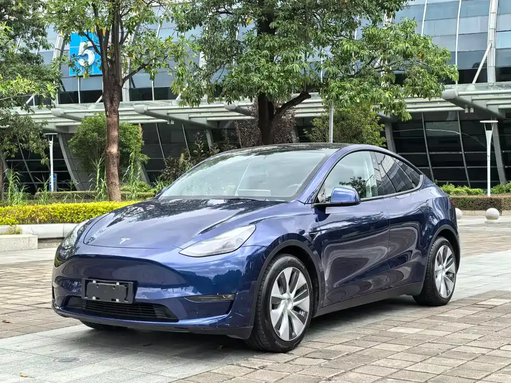 Tesla Model Y 2021 из CN, фото 1