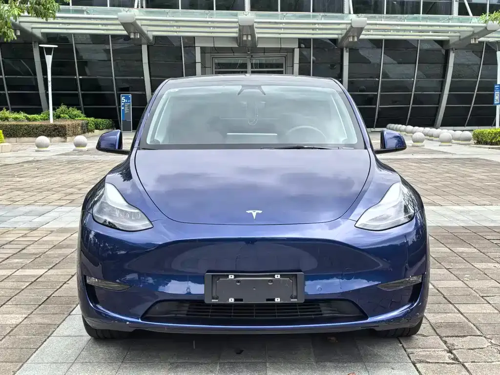 Tesla Model Y 2021 из CN, фото 2
