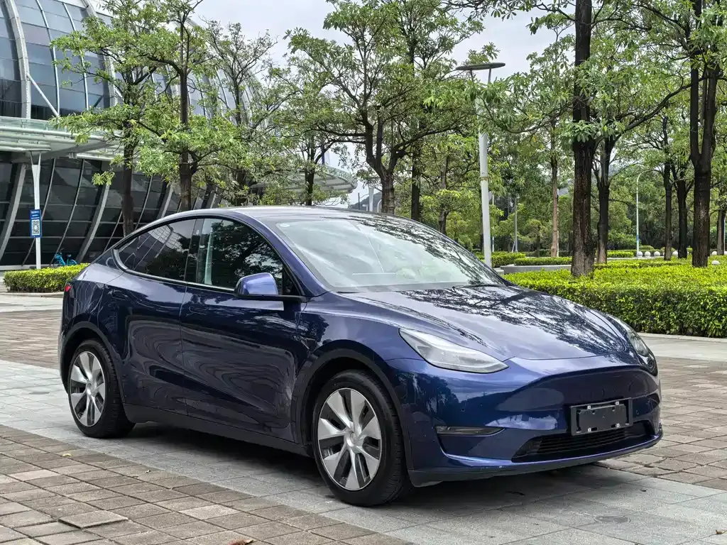 Tesla Model Y 2021 из CN, фото 3