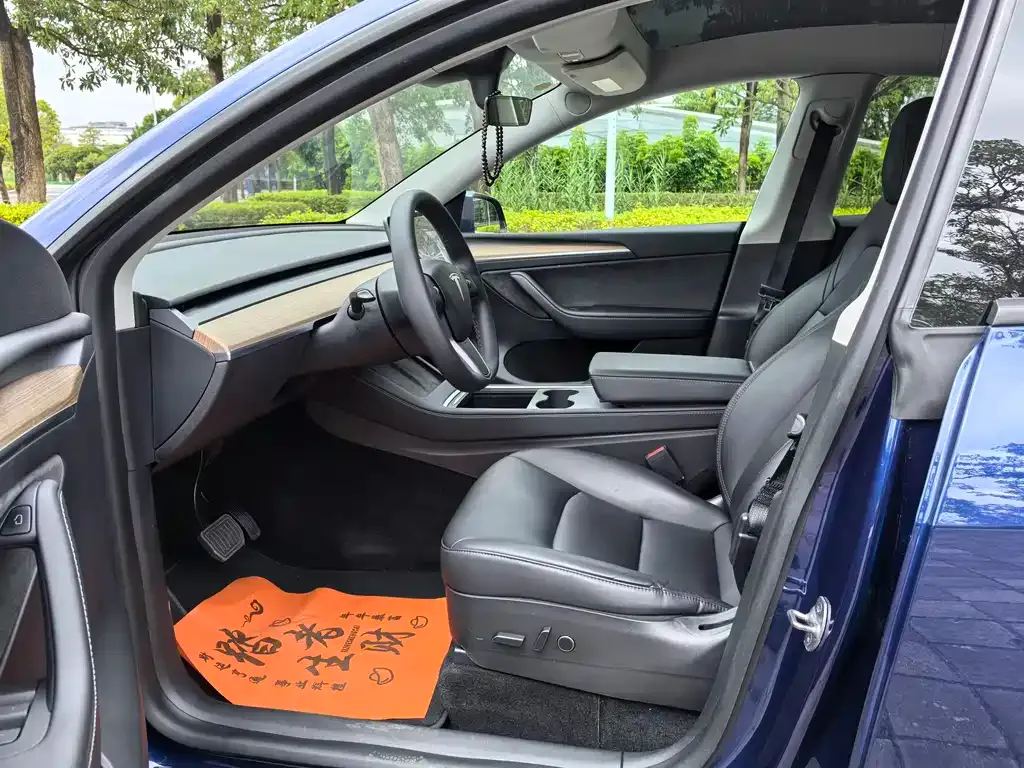 Tesla Model Y 2021 из CN, фото 4