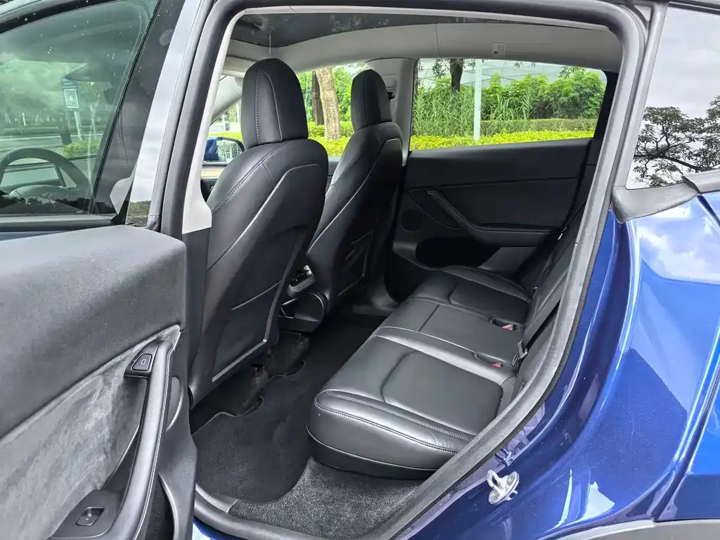 Tesla Model Y 2021 из CN, фото 5