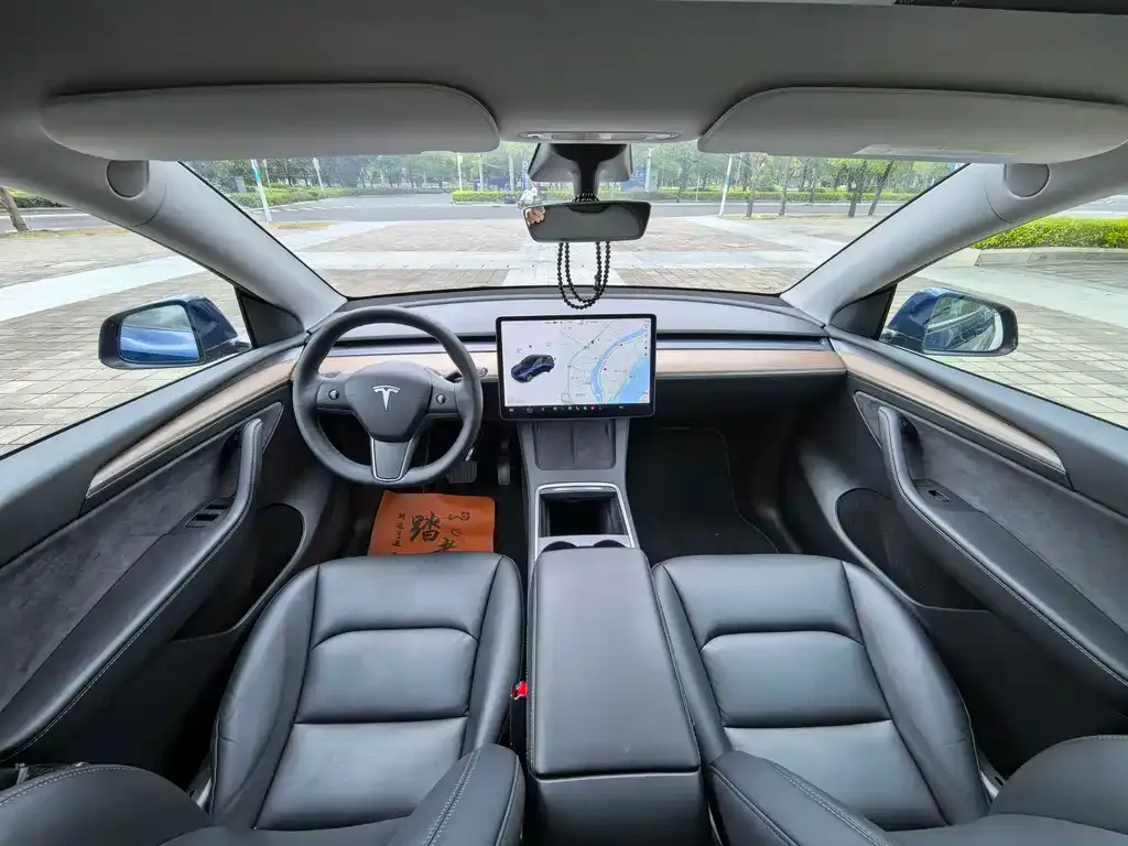 Tesla Model Y 2021 из CN, фото 6