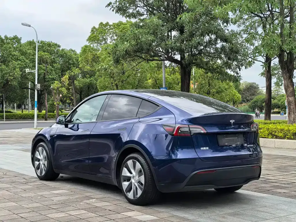 Tesla Model Y 2021 из CN, фото 7
