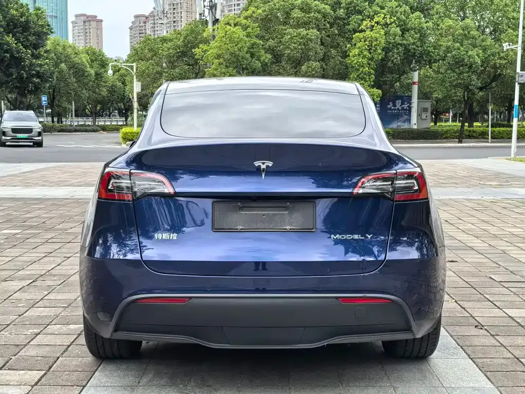 Tesla Model Y 2021 из CN, фото 8