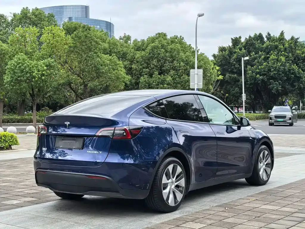 Tesla Model Y 2021 из CN, фото 9