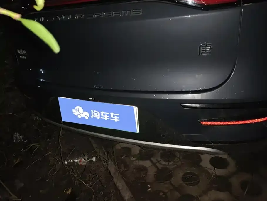 BYD Tang New Energy 2022 из CN, фото 4