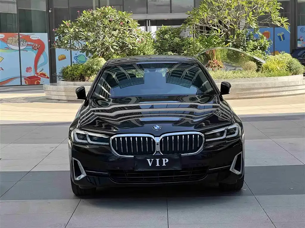 BMW 5 Series 2022 из CN, фото 2