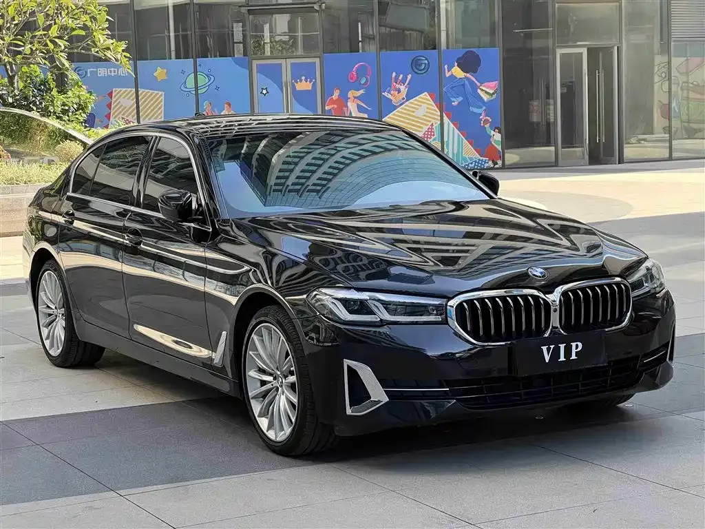 BMW 5 Series 2022 из CN, фото 3