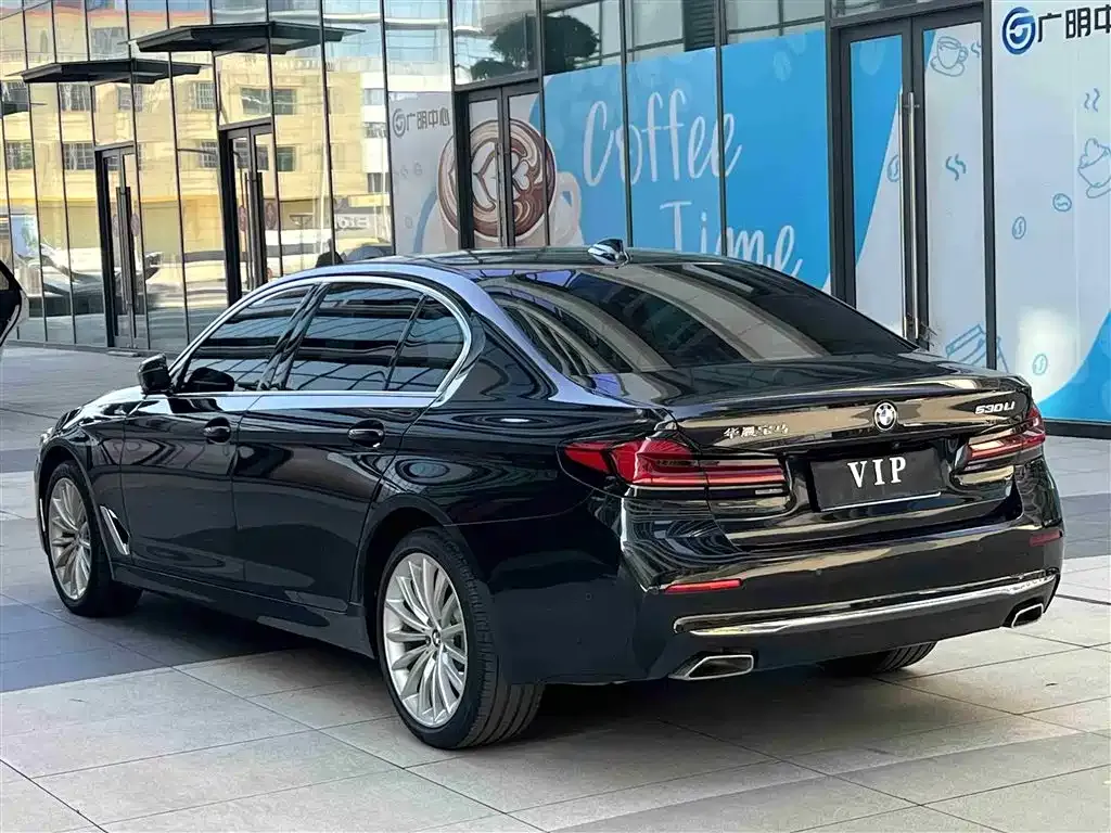 BMW 5 Series 2022 из CN, фото 4