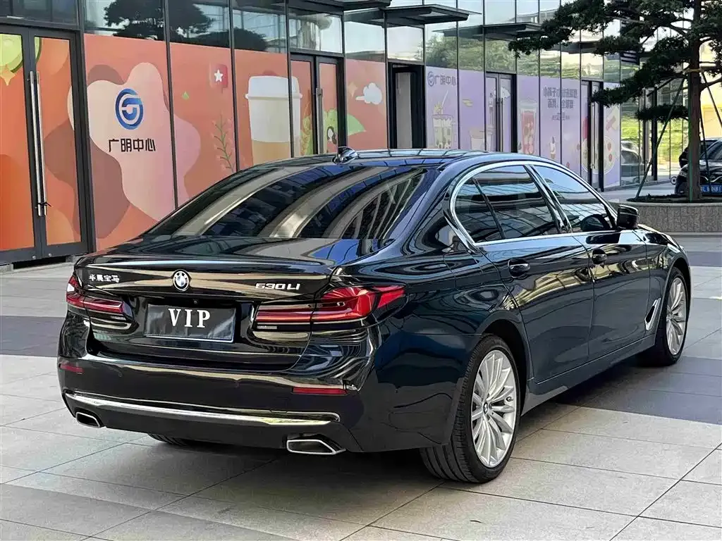 BMW 5 Series 2022 из CN, фото 6