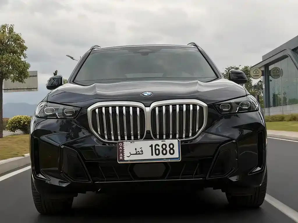 BMW X5 2024 из CN, фото 3
