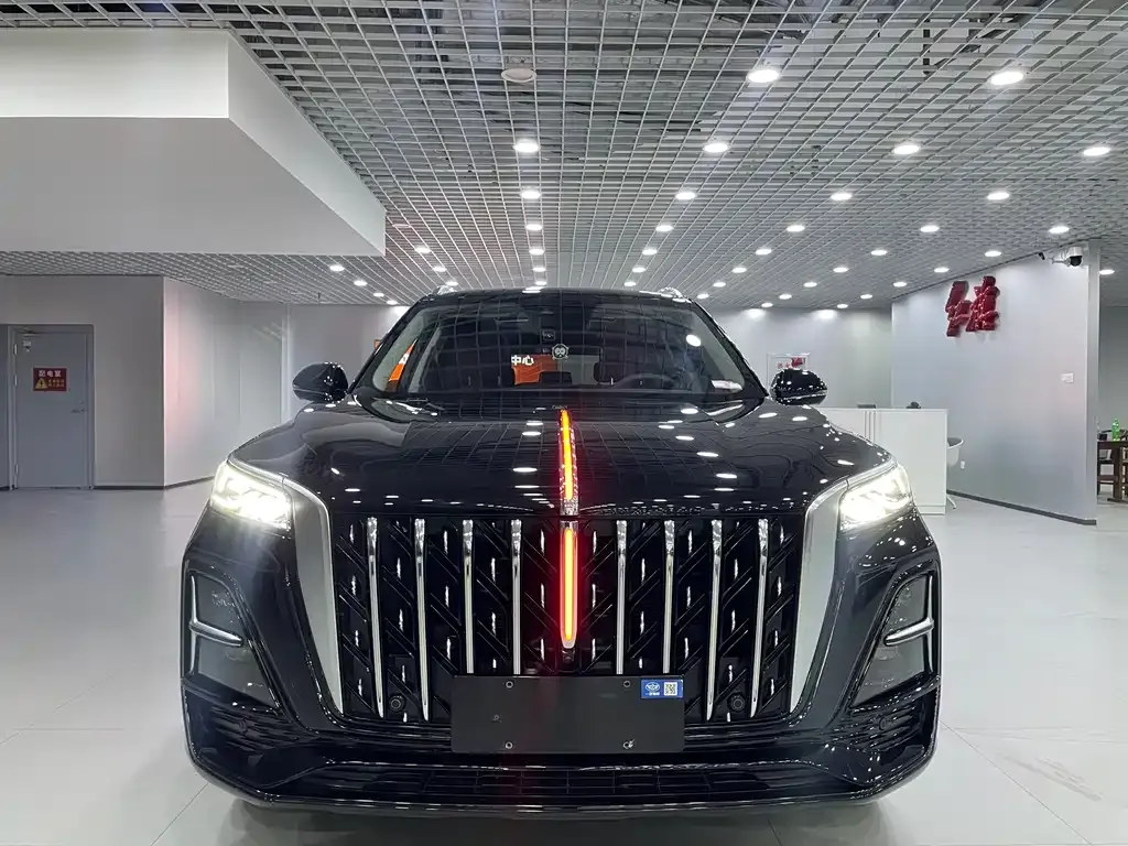 Hongqi HS5 2024 из CN, фото 1