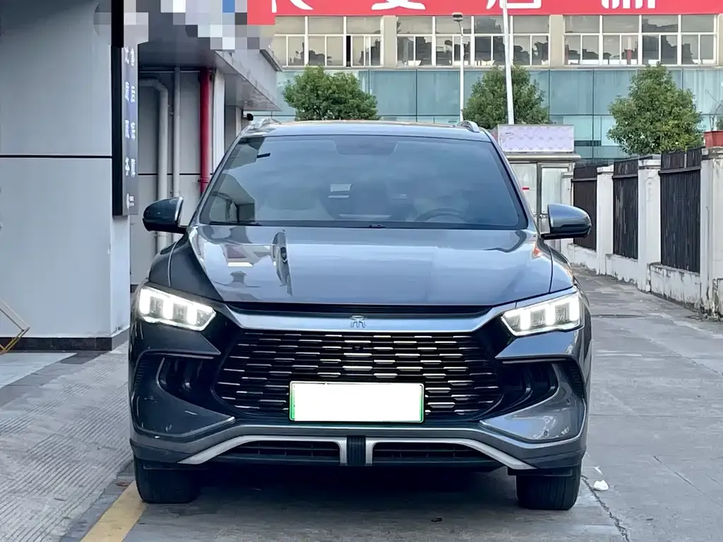 BYD Pro New Energy 2024 из CN, фото 2