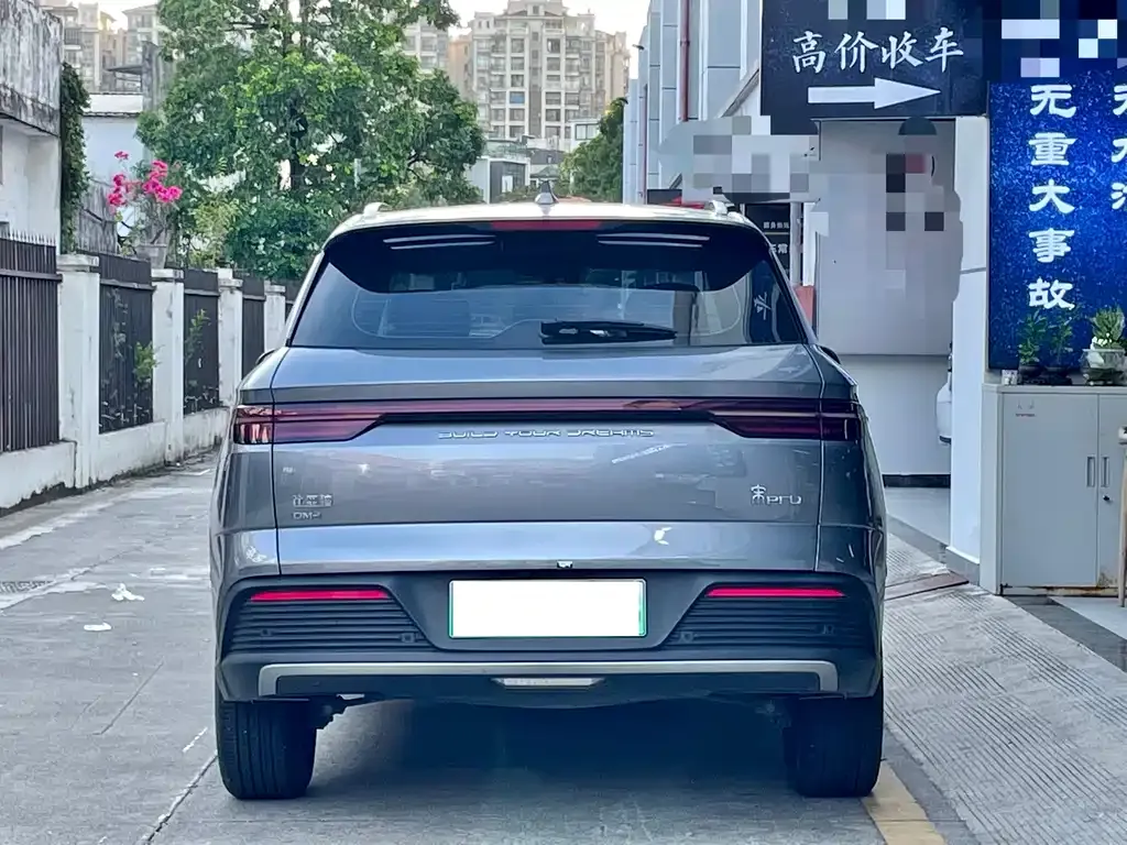 BYD Pro New Energy 2024 из CN, фото 3