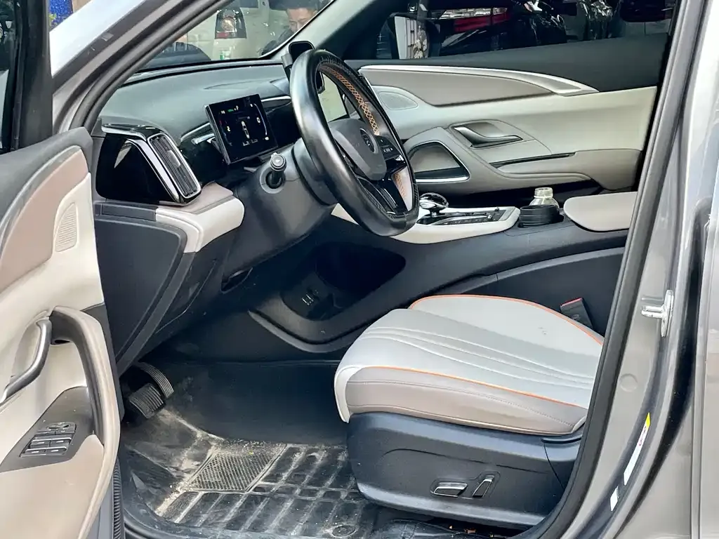 BYD Pro New Energy 2024 из CN, фото 4