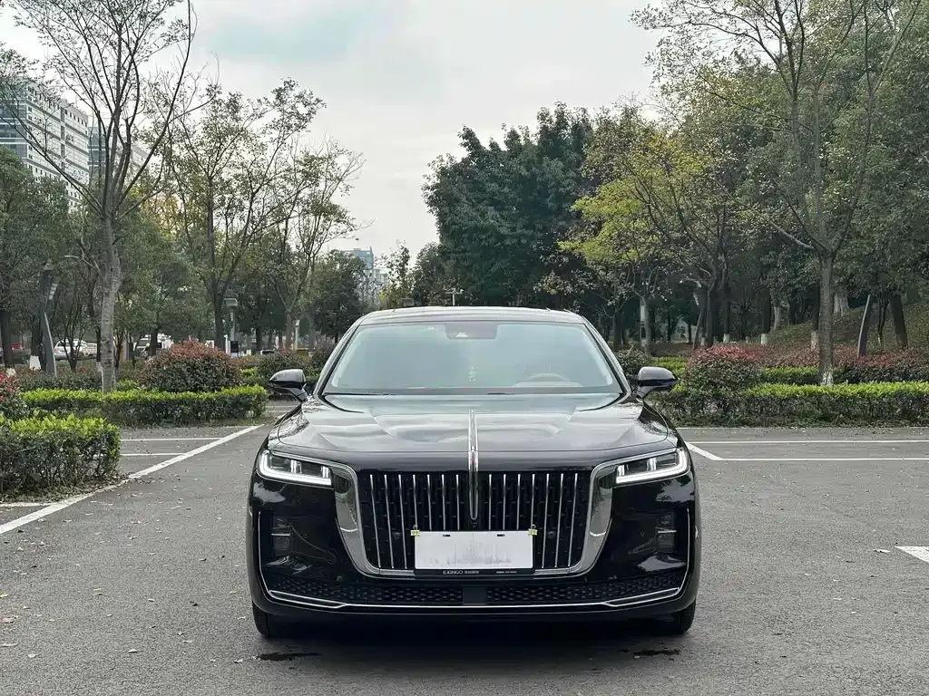 Hongqi H9 2023 из CN, фото 9