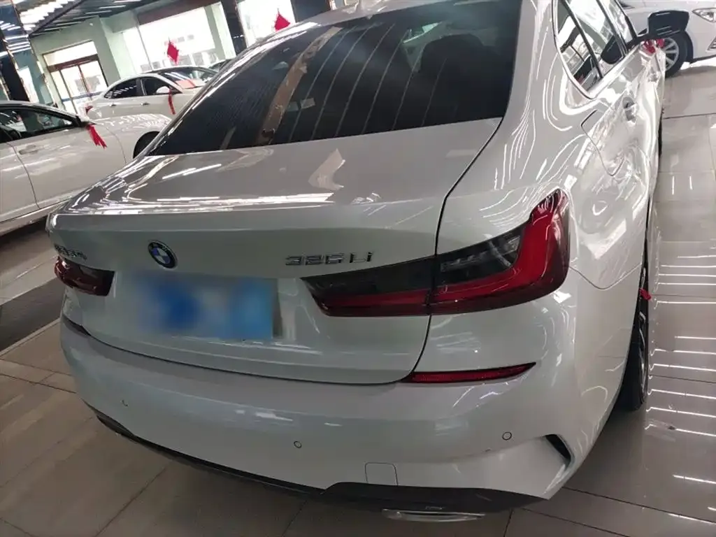 BMW 3 Series 2022 из CN, фото 6