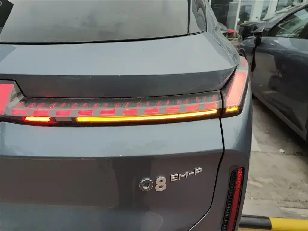 [object Object] 08 EM-P 2024 из CN, фото 8