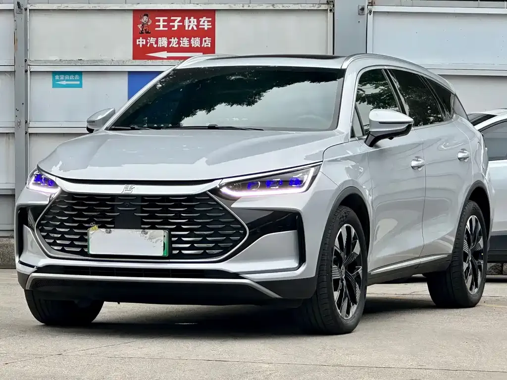 BYD Tang New Energy 2024 из CN, фото 1