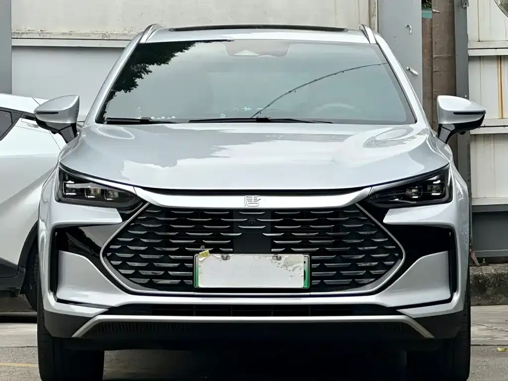 BYD Tang New Energy 2024 из CN, фото 2