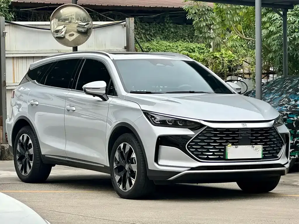 BYD Tang New Energy 2024 из CN, фото 3