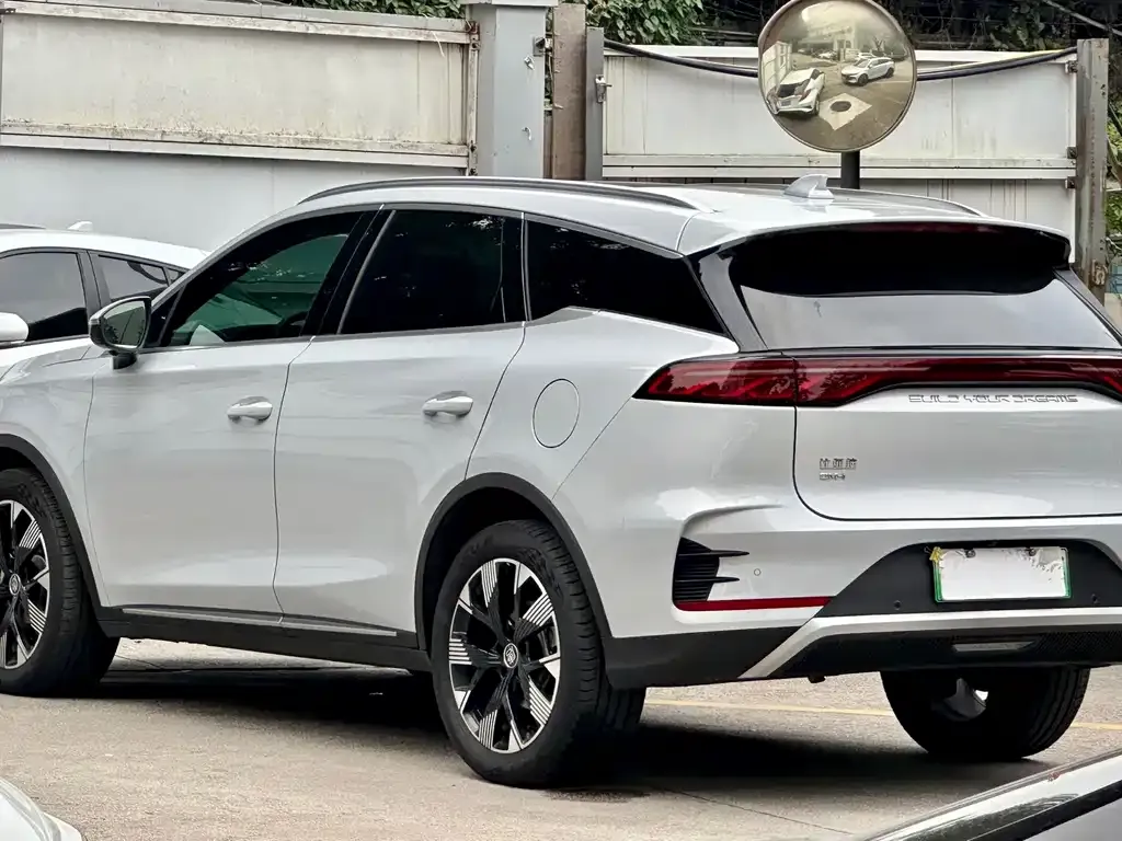 BYD Tang New Energy 2024 из CN, фото 4