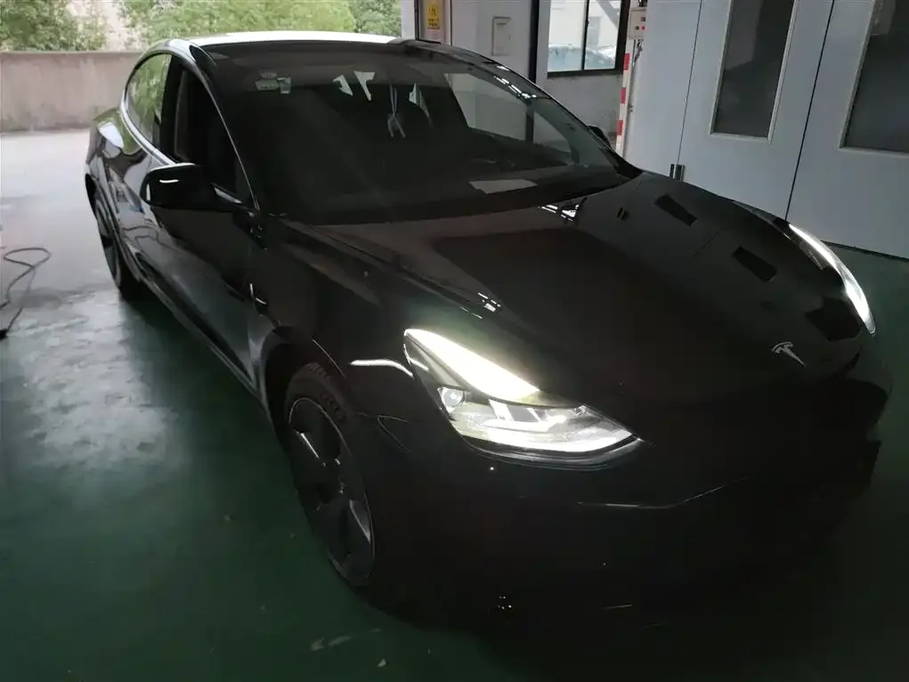 Tesla Model 3 2021 из CN, фото 4