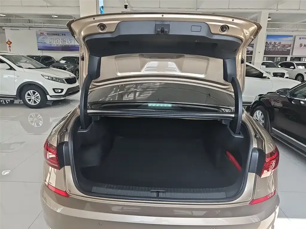 Volkswagen Passat 2022 из CN, фото 4