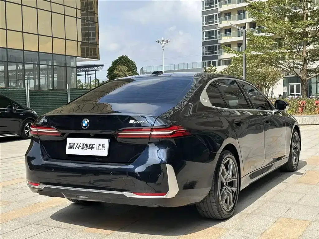 BMW 5 Series 2024 из CN, фото 3