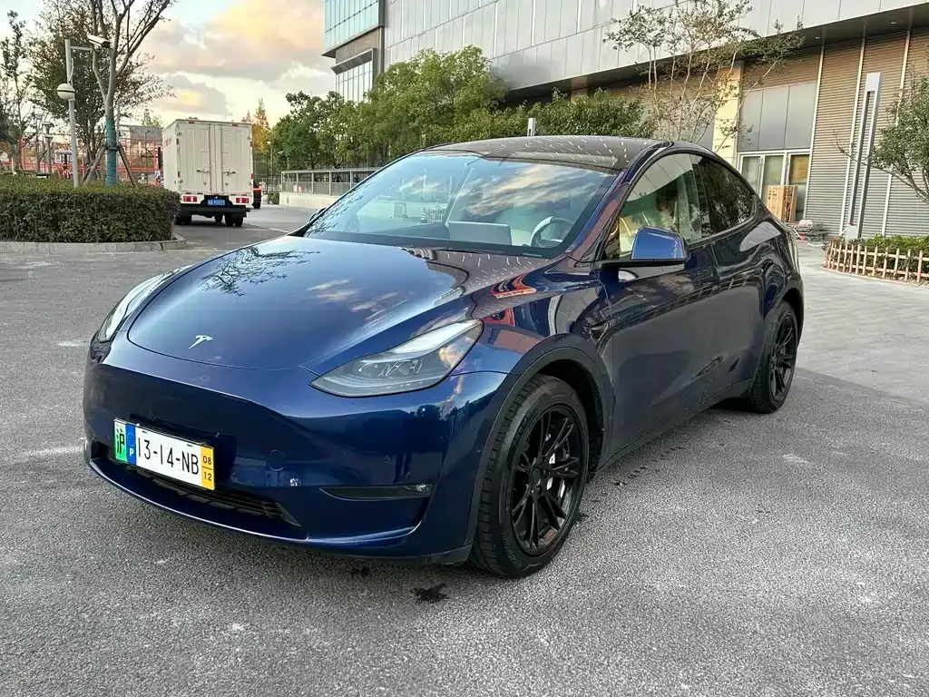 Tesla Model Y 2021 из CN, фото 1