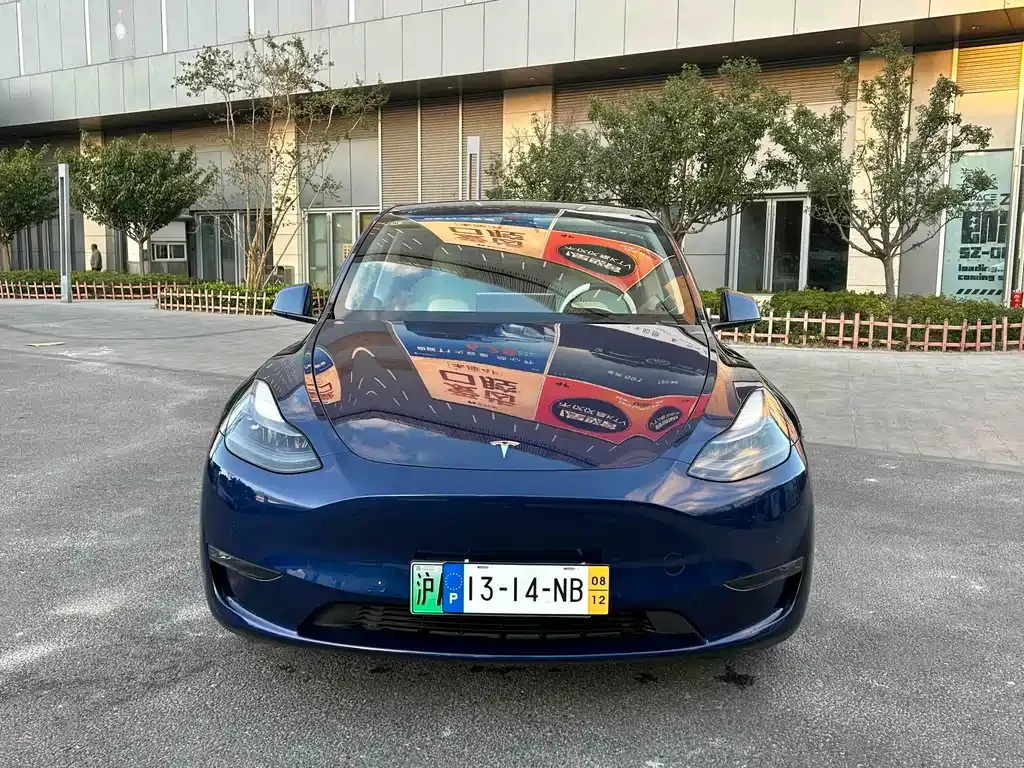 Tesla Model Y 2021 из CN, фото 2