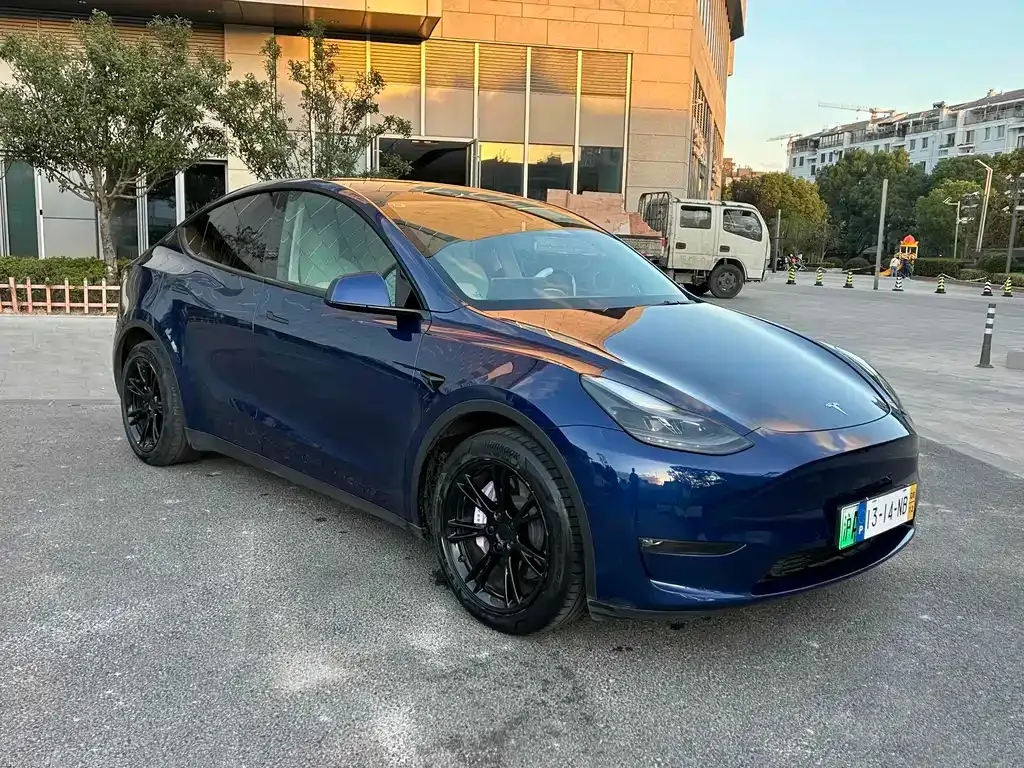 Tesla Model Y 2021 из CN, фото 3