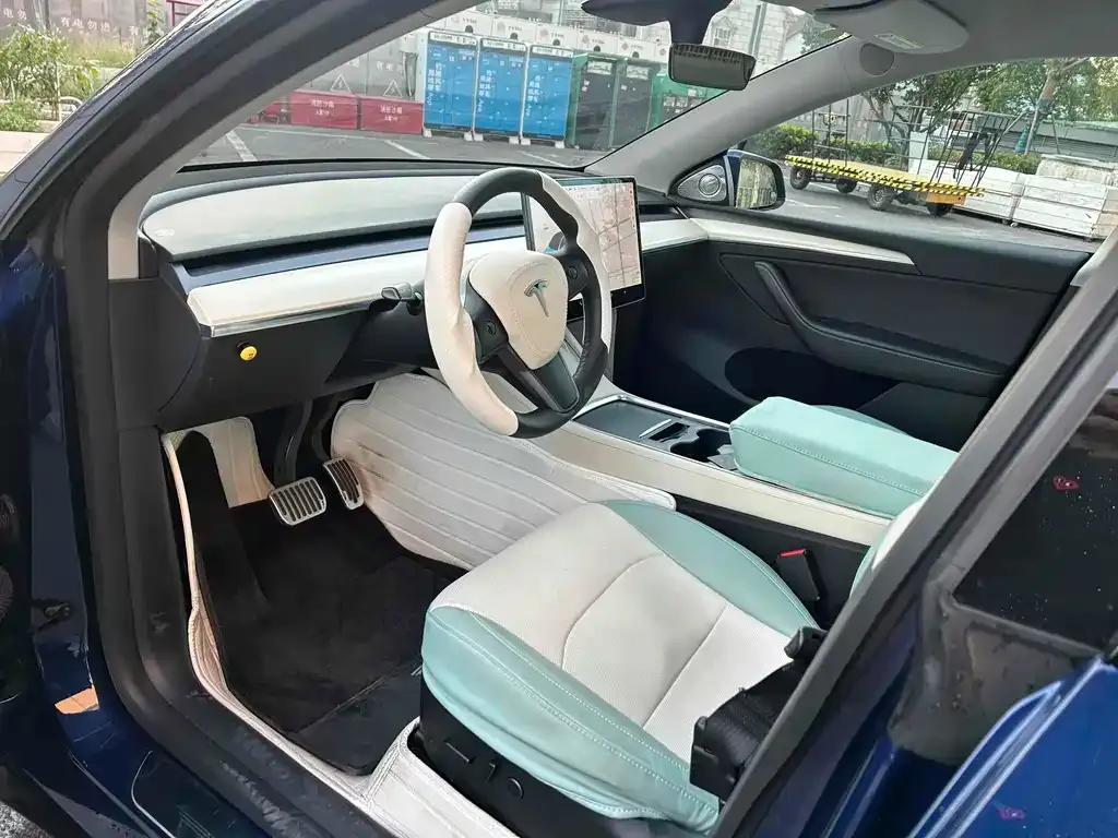 Tesla Model Y 2021 из CN, фото 4
