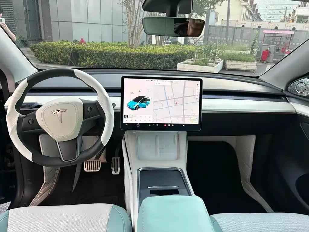 Tesla Model Y 2021 из CN, фото 5
