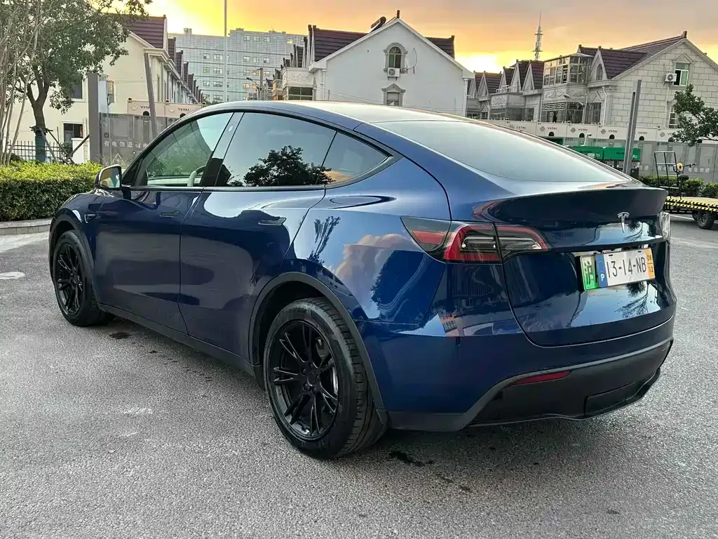 Tesla Model Y 2021 из CN, фото 8