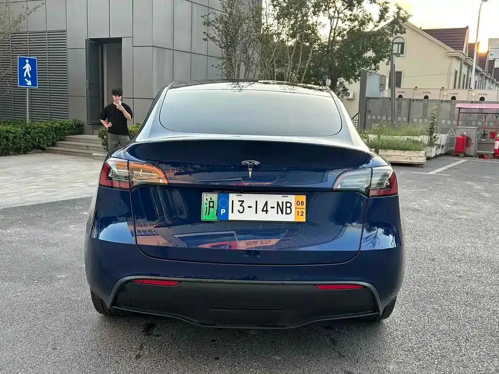Tesla Model Y 2021 из CN, фото 9