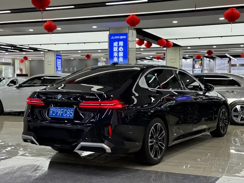 BMW 5 Series 2024 из CN, фото 6