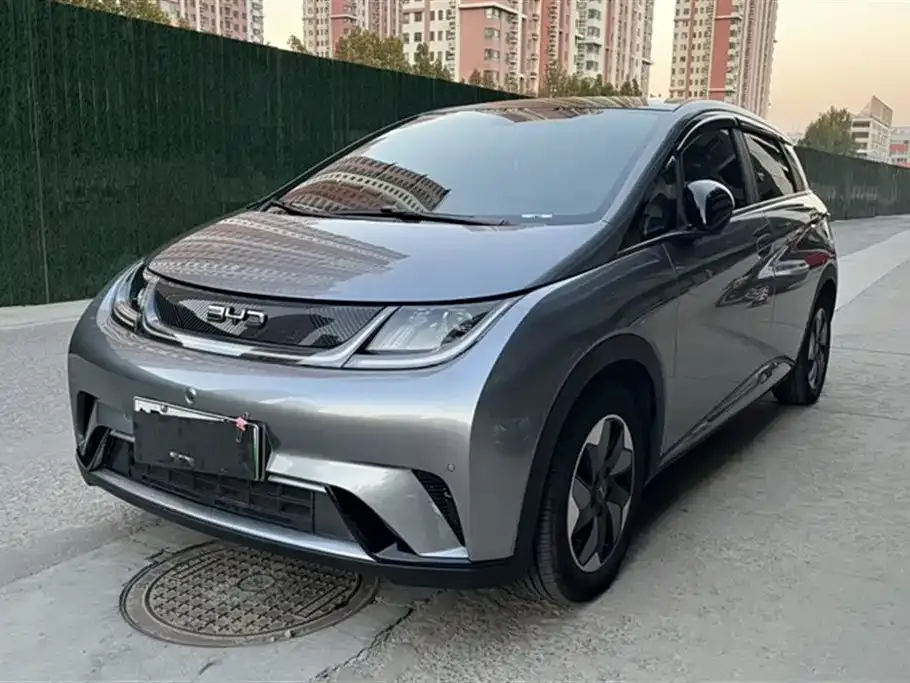 BYD Dolphin 2024 из CN, фото 2