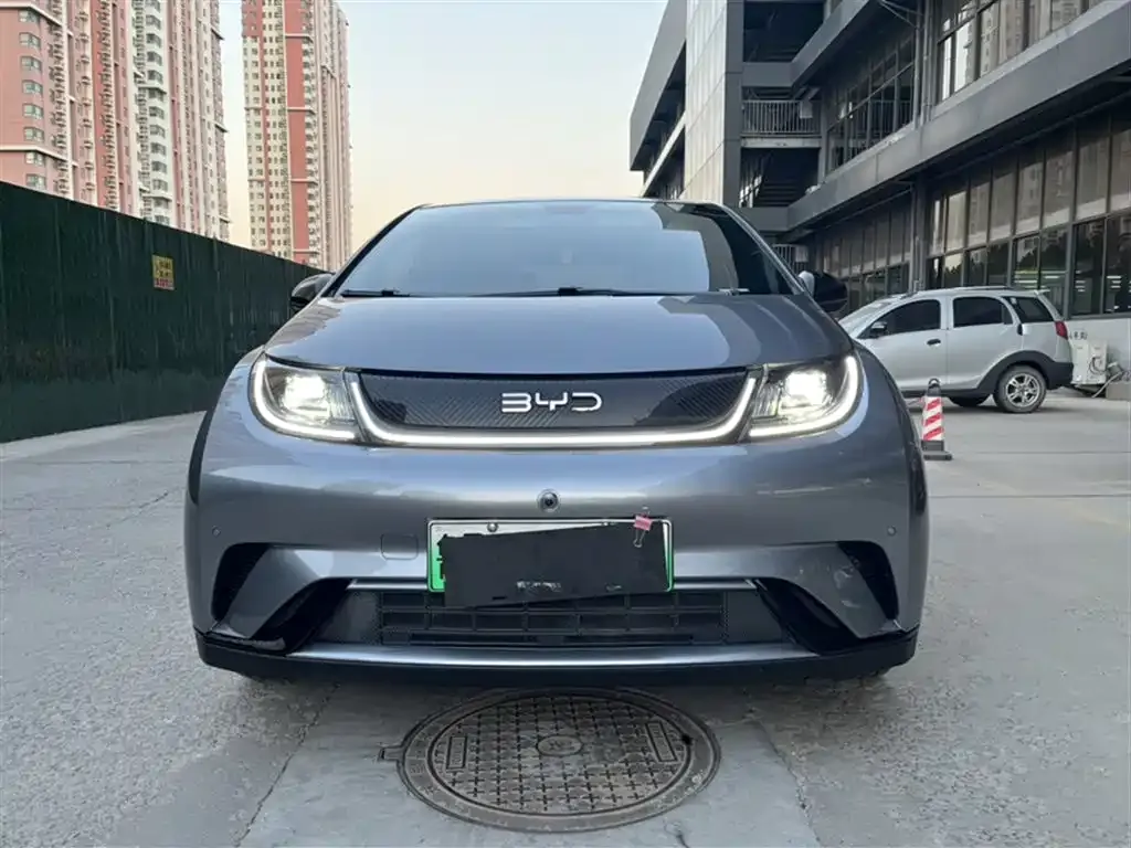 BYD Dolphin 2024 из CN, фото 3