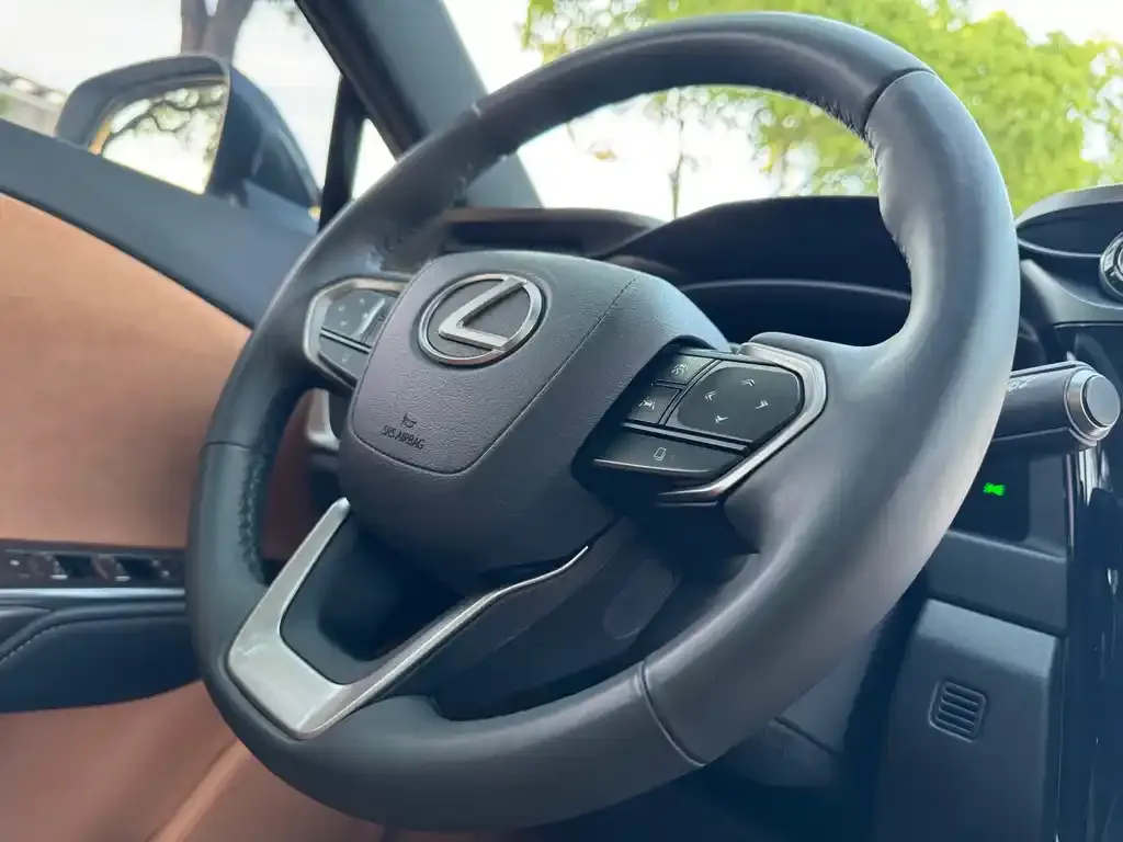 Lexus RZ 2023 из CN, фото 10