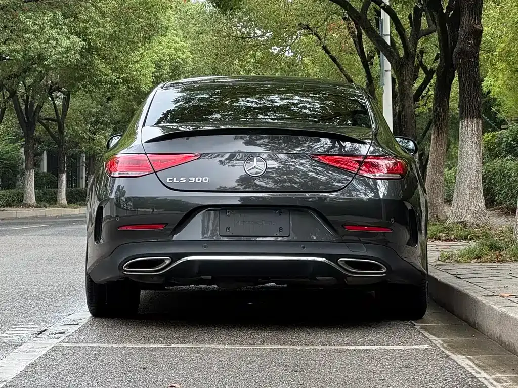 Mercedes-Benz CLS 2023 из CN, фото 5