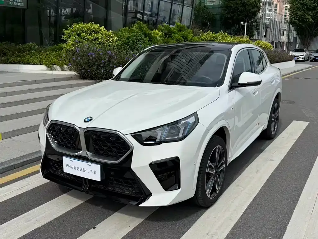 BMW X2 (Import) 2024 из CN, фото 1